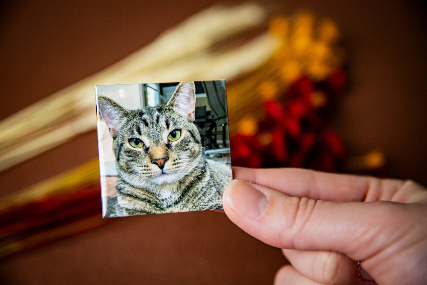 Kit com 20 Fotos Magnéticas Premium